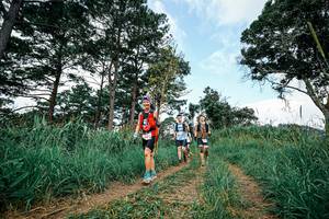 BIB: 
                            <button type="button" onclick="openModal(26036936)" class="btn btn-primary btn-sm float-right btn-popup" data-toggle="modal" data-target=".modal-high-quality">
                        <i class="fas fa-shopping-cart"></i> Add to Cart
                    </button>
                                            <button type="button" onclick="isThisMe(26036936, true)" class="btn btn-success btn-sm float-right btn-popup btn-isme hidden" data-toggle="tooltip" data-placement="bottom" title="นี่คือรูปของคุณใช่ไหม คลิกที่นี่เพื่อเอาเข้าอัลบั้ม">
                        <i class="fas fa-plus"></i> Add to album
                    </button>
                    <button type="button" onclick="isThisMe(26036936, false)" class="btn btn-warning btn-sm float-right btn-popup btn-isnotme hidden">
                        <i class="fas fa-ban"></i> Remove from album
                    </button>